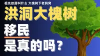 山西洪洞大槐树移民的传说是真的吗？