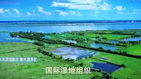 河北5A景区（13）——衡水市滨湖新区“衡水湖”#这么近那么美周末到河北