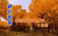 避坑指南｜内蒙额济纳胡杨林一日游