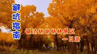 避坑指南｜内蒙额济纳胡杨林一日游