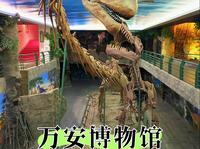 广元万安博物馆，也是川北家风馆。