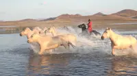 乌兰布统——夕阳下的将军泡子