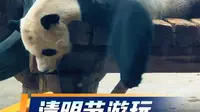 清明节游玩石家庄动物园！