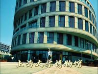 上海大学博物馆｜你不是一座馆🏛️