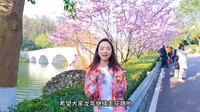 重庆园博园的樱花美翻啦🌸