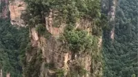 乾坤柱《阿凡达》悬浮山