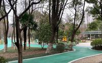 常州新北中心公园晨游