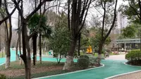 常州新北中心公园晨游