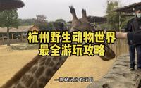 杭州野生动物世界最全游玩攻略