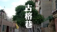 泉州鲤城古榕巷