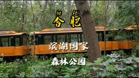 合肥滨湖国家森林公园 国家级森林公园 天然氧吧