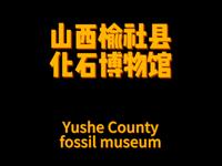 山西榆社县化石博物馆