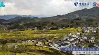凤堰古梯田油菜花，陕西省安康市汉阴县漩涡镇凤堰古梯田清代梯田
