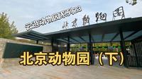 【云逛动物园系列】23.北京动物园（下）
