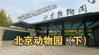 【云逛动物园系列】23.北京动物园（下）