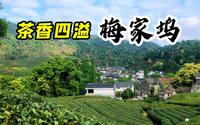 杭州西湖边人太多了，跑到梅家坞荡荡，茶香四溢景色宜人真悠闲
