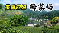 杭州西湖边人太多了，跑到梅家坞荡荡，茶香四溢景色宜人真悠闲
