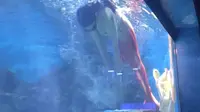 天津国家海洋博物馆美人鱼表演。。。感觉票价定高了