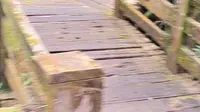 桥溪古韵  养心谷