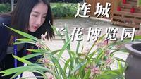 “兰为王者香，芬馥清风里”——台湾媒体走进连城朋口兰花博览园。（来源：连城县融媒体中心 漳平市融媒体中心）