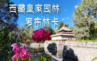 【我在西藏的日子】罗布林卡，西藏皇家园林