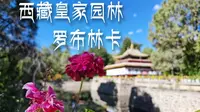【我在西藏的日子】罗布林卡，西藏皇家园林