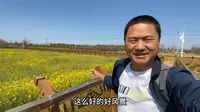 昆明的斗南湿地公园，这里的油菜花开了，一大片金灿灿的太美了！