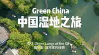 中国湿地之旅：杭州因为这块湿地而与众不同