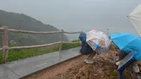 深圳天文台暴雨