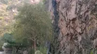 天津最遥远神秘的地方——梨木台森林