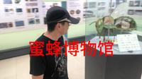 中国蜜蜂博物馆
