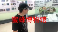 中国蜜蜂博物馆
