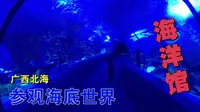 广西北海 参观海底世界海洋馆 丰富的海底生物 眼花缭乱