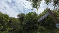 92年单身法律民工裸辞，开着房车上海自驾新疆，第二十七站。新疆伊犁巩留县野核桃沟景区 #房车旅行 #上海自驾新疆 #巩留县露营地推荐