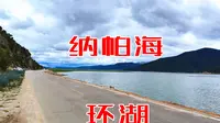 强烈建议自驾环纳帕海依拉草原，湖水草原牦牛羊，美丽画卷免费看
