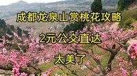 成都龙泉山桃花之旅及攻略，2元公交直达，这里太美了错过可惜！