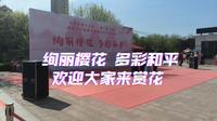 （太原城市生活3）太原市第18届“一园一品”活动暨和平公园第10届樱花文化活动展
