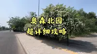 奥林匹克森林公园北园超详细攻略