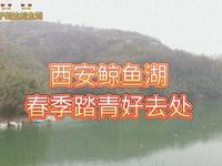 2025年清明游玩好去处，西安鲸鱼沟风景区，带上家人来踏青吧