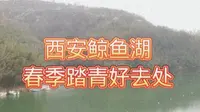2025年清明游玩好去处，西安鲸鱼沟风景区，带上家人来踏青吧