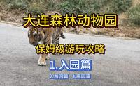 大连森林动物园 保姆级游玩攻略 第一篇：入园篇
