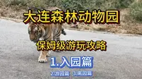 大连森林动物园 保姆级游玩攻略 第一篇：入园篇