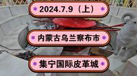 2024.7.9（上）内蒙古乌兰察布《集宁国际皮革城》《集宁国际皮草城》一起传播正能量，希望这个视频能帮助到更多的人！