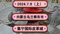 2024.7.9（上）内蒙古乌兰察布《集宁国际皮革城》《集宁国际皮草城》一起传播正能量，希望这个视频能帮助到更多的人！
