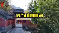 武当山榔梅祠