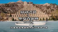 一个人的丝绸之路之宁夏青铜峡108塔