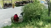 安丘青云山民俗游乐园风景区实拍