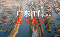 广东江门鹤山“古劳水乡”，这里有星罗密布的鱼塘
