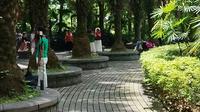 桂林植物园里的神仙生活