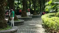 桂林植物园里的神仙生活